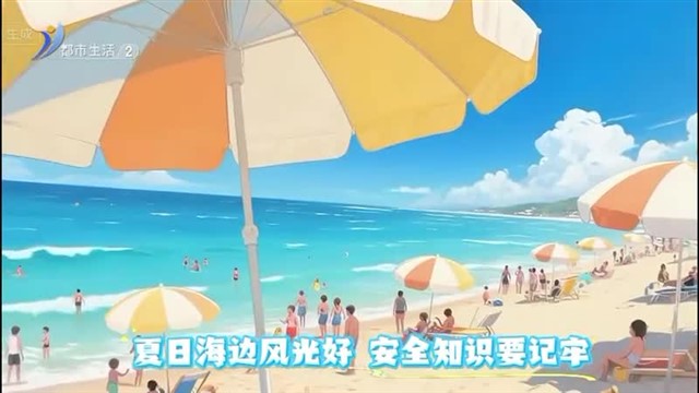 直播威海 2025-08-06